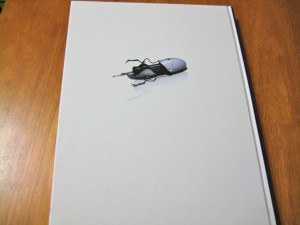 Portal 2 Collector's Edition Strategy Guide