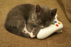 kitten-in-peril-from-xbox-360-controller